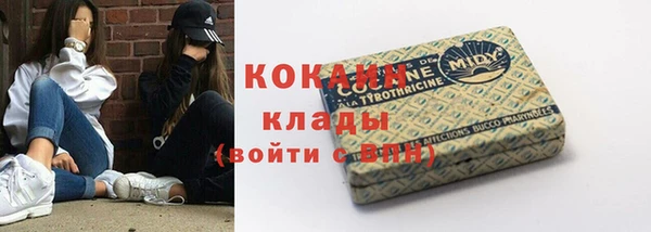 стаф Зеленокумск