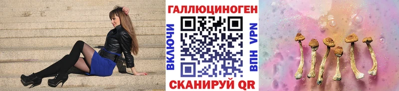 Псилоцибиновые грибы мухоморы Западная Двина